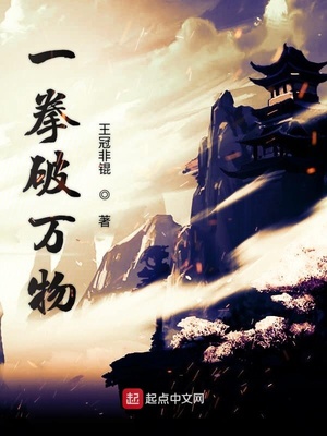 ����С˵:һȭ������