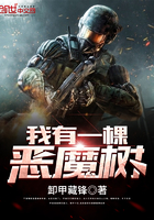 ��ʷС˵:����һ�ö�ħ��