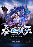 ����С˵:��������