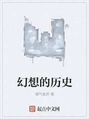 ����С˵:�������ʷ