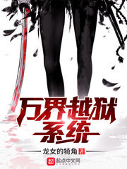 ����С˵:���Խ��ϵͳ