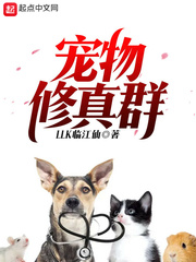 ����С˵:��������Ⱥ