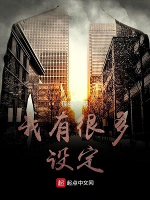 ����С˵:���кܶ��趨