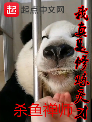 ����С˵:�������������