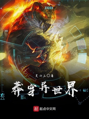 ����С˵:ç��������