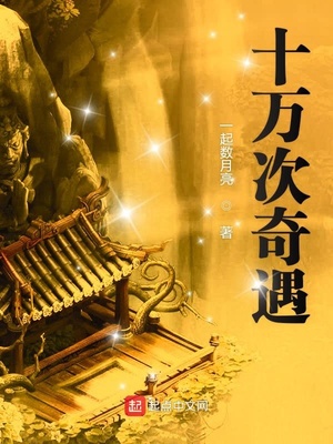 ����С˵:ʮ�������