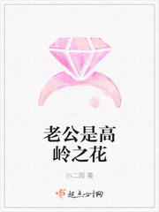 ����С˵:�Ϲ��Ǹ���֮��