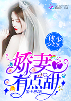 言情小说:傅少心尖宠:娇妻,有点甜!(星河迢迢只见你) 言情小说:傅少心尖宠:娇妻,有点甜!(星河迢迢只见你)