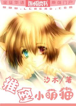 ����С˵:�Ƶ�С��è