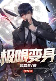 ����С˵:���ޱ���