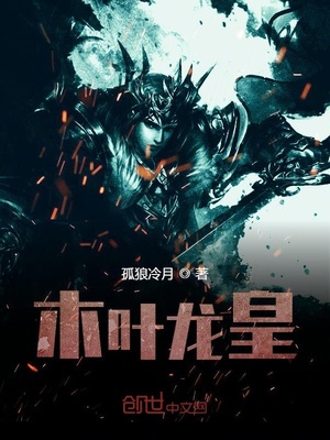 ����С˵:ľҶ����