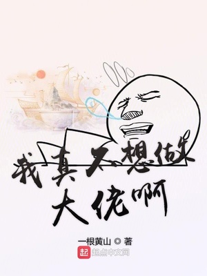 ����С˵:���治�������а�