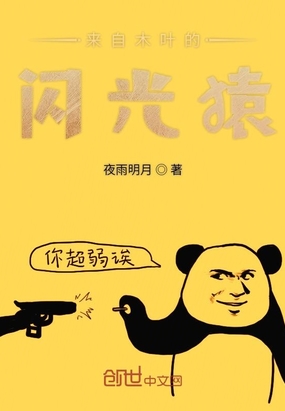 网游小说:来自木叶的闪光猿 网游小说:来自木叶的闪光猿