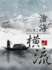 耽美小说:红楼之沧海横流 耽美小说:红楼之沧海横流