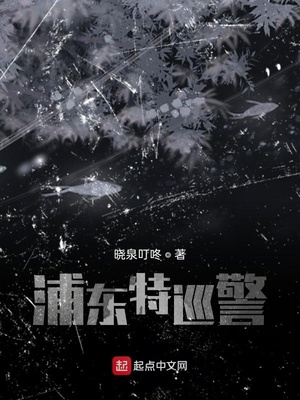 ��ʷС˵:�ֶ���Ѳ��