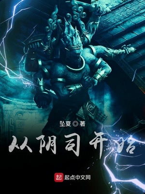 ����С˵:����˾��ʼ