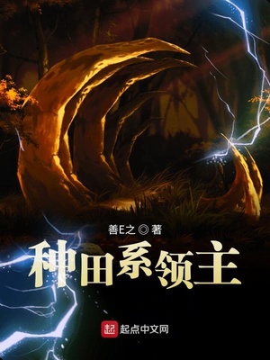 ����С˵:����ϵ����