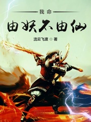 ����С˵:��������������