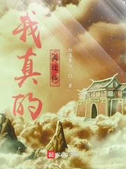 ����С˵:����ĳɹ���