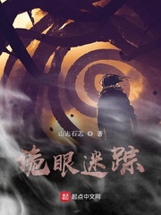 ����С˵:��������