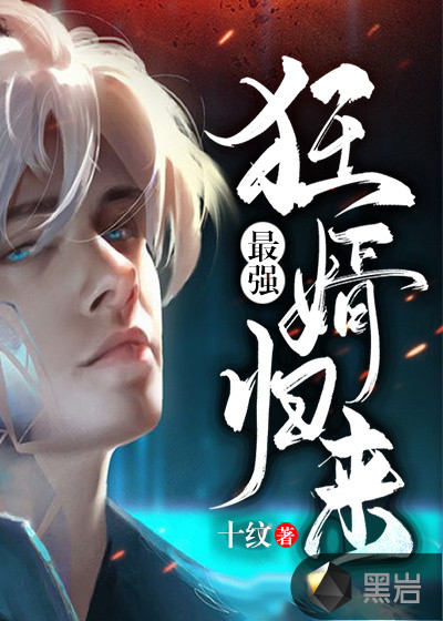 ����С˵:��ǿ������������������