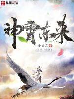 ����С˵:��������