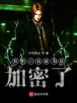 言情小说:我的小说被S级加密了 言情小说:我的小说被S级加密了