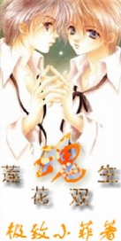 ����С˵:����˫����