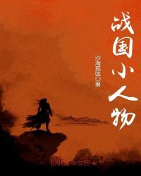 ��ʷС˵:ս��С����