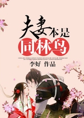 耽美小说:夫妻本是同林鸟 耽美小说:夫妻本是同林鸟