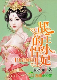 ����С˵:ս����С����