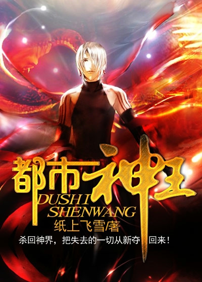 ����С˵:��������