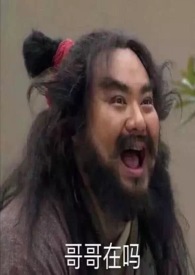 ��ʷС˵:���ü�