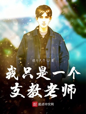 ����С˵:��ֻ��һ��֧����ʦ