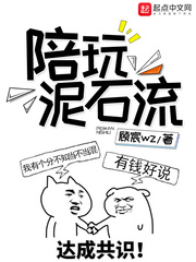 ����С˵:������ʯ��