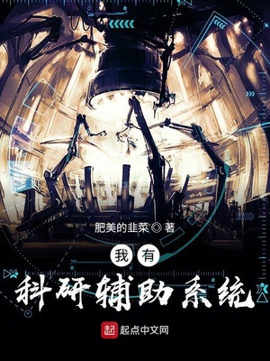 ����С˵:���п��и���ϵͳ