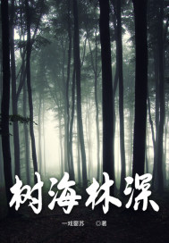 ����С˵:��������