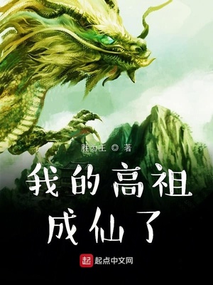 ����С˵:�ҵĸ��������