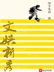 ����С˵:��������