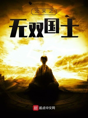 历史小说:北宋之无双国士 历史小说:北宋之无双国士