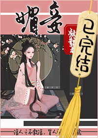 ��ʷС˵:���