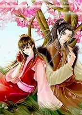 ����С˵:������