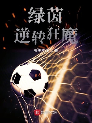 ����С˵:������ת��ħ