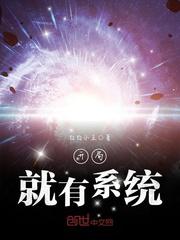 ����С˵:���־���ϵͳ