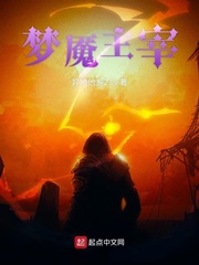 ����С˵:��������