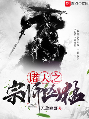 ����С˵:����֮��ʦ����