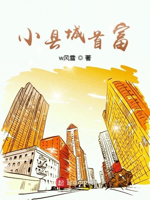 ����С˵:С�س��׸�