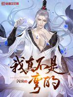 ����С˵:���治�����