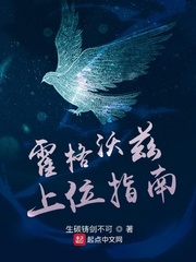 历史小说:霍格沃兹上位指南 历史小说:霍格沃兹上位指南