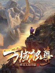 ����С˵:�������